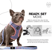 Luneez Cleo Dog Leash – pink and blue giraffe print