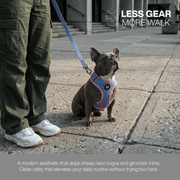Luneez Cleo Dog Leash – pink and blue giraffe print