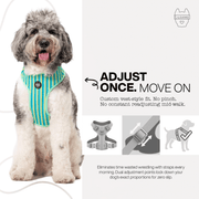Luneez Biscayne Dog Vest Harness – multicolor striped