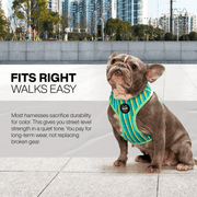 Luneez Biscayne Dog Vest Harness – multicolor striped