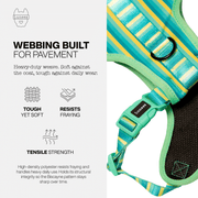 Luneez Biscayne Dog Vest Harness – multicolor striped