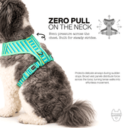 Luneez Biscayne Dog Vest Harness – multicolor striped