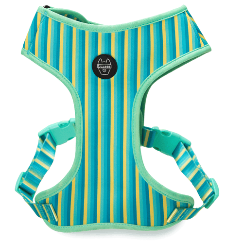 Luneez Biscayne Dog Vest Harness – multicolor stripes