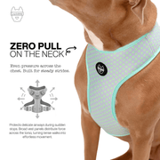 Luneez Luna Dog Vest Harness – lavender and neon green polka dots