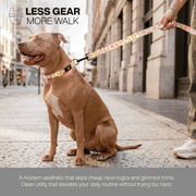 Luneez Nova Dog Leash – pink and neon green leopard print