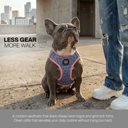 Luneez Cleo Dog Vest Harness – pink and blue giraffe print