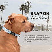 Luneez Luna Dog Collar – lavender and neon green polka dots