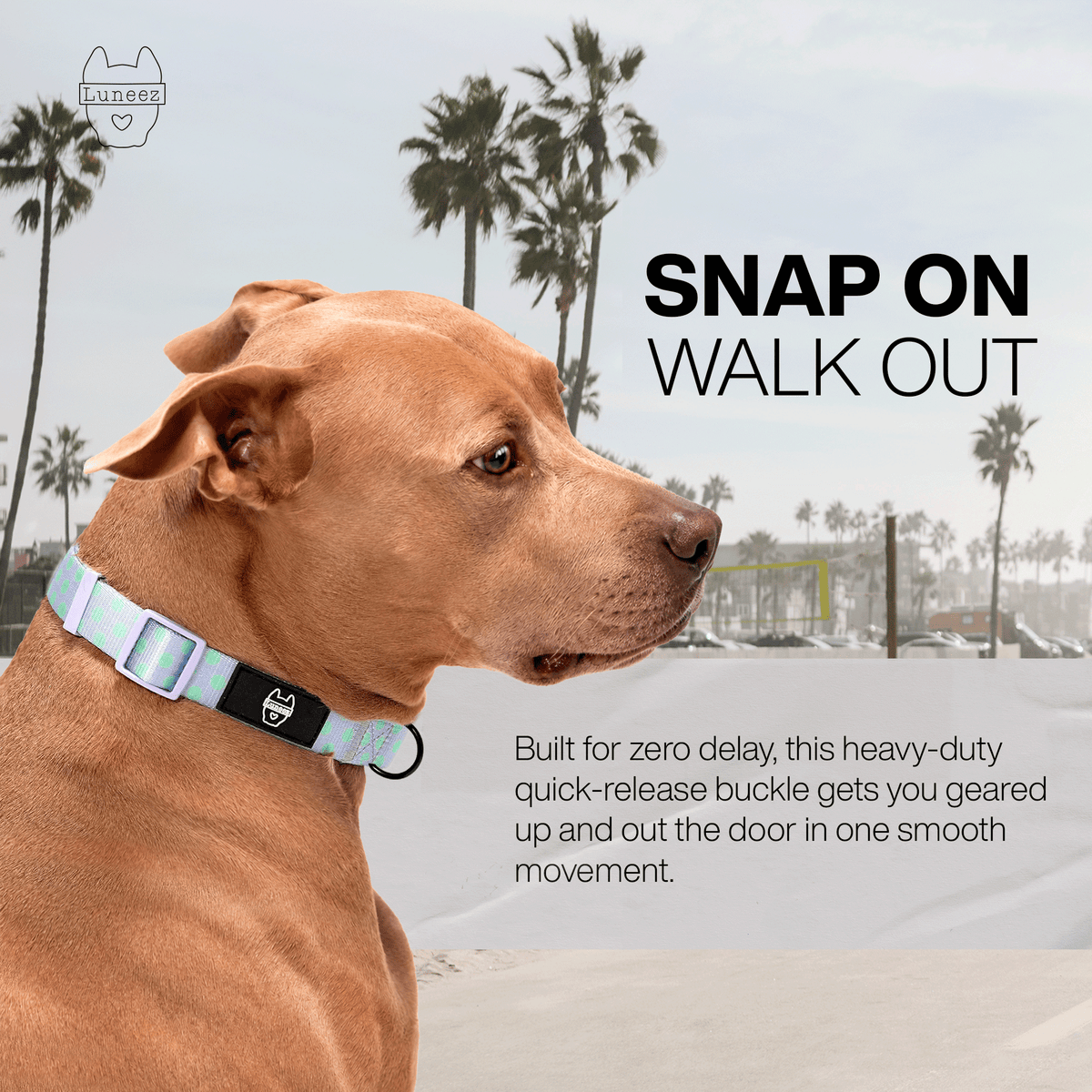 Luneez Luna Dog Collar – lavender and neon green polka dots