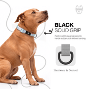 Luneez Luna Dog Collar – lavender and neon green polka dots
