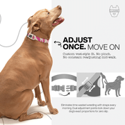 Luneez Riot Dog Collar – purple and grey zebra print