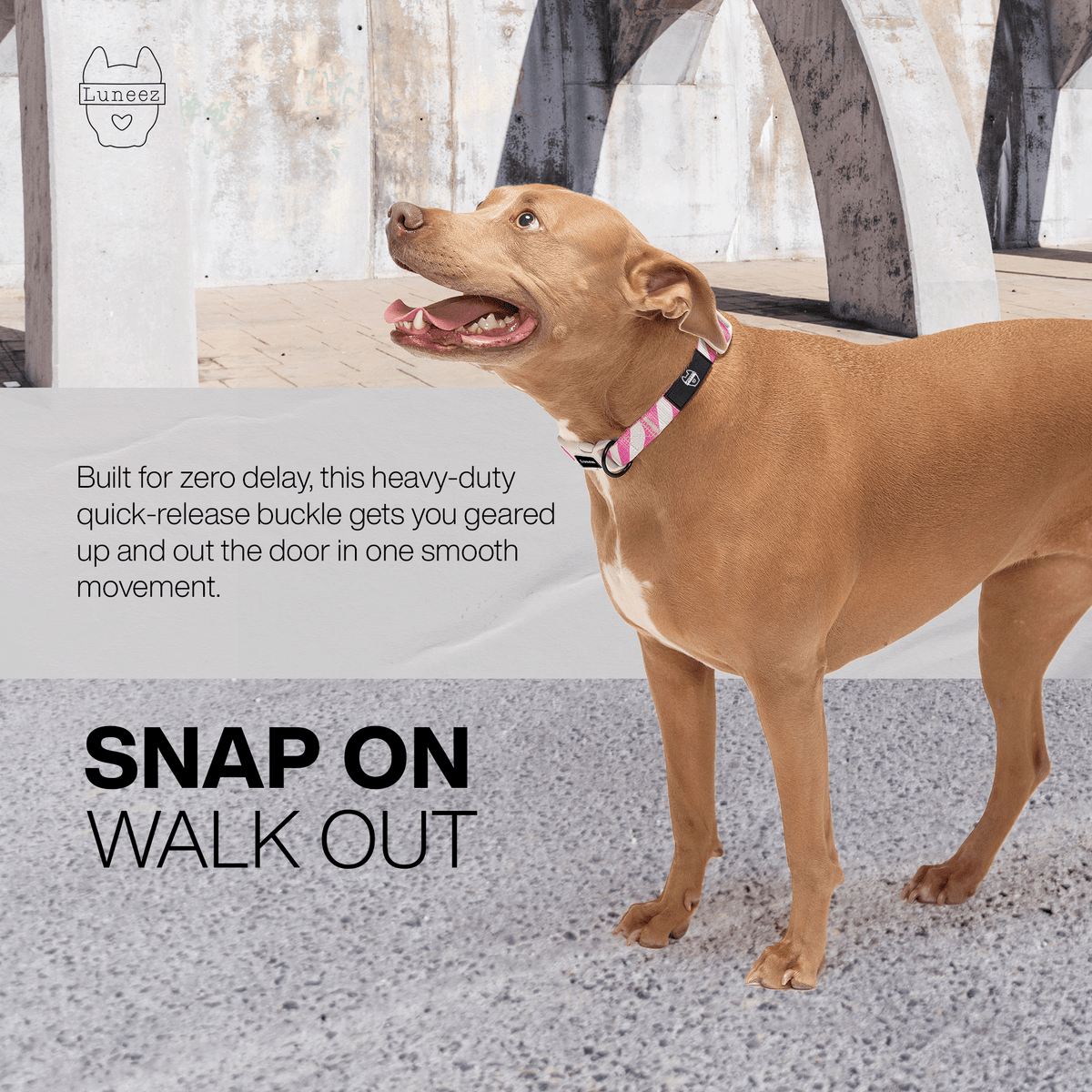 Luneez Riot Dog Collar – purple and grey zebra print