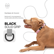 Luneez Riot Dog Collar – purple and grey zebra print
