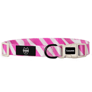 Luneez Riot Dog Collar – purple and grey zebra print