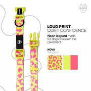 Luneez Nova Dog Collar – pink and neon green leopard print