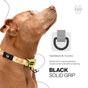Luneez Nova Dog Collar – pink and neon green leopard print