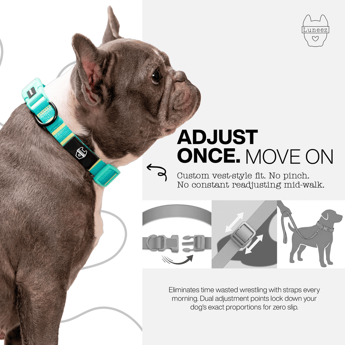 Luneez Biscayne Dog Collar – multicolor striped