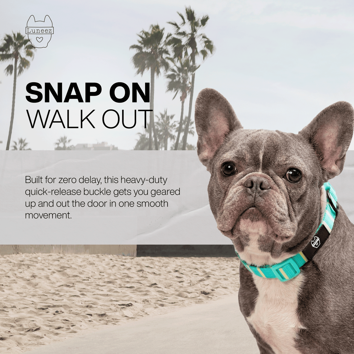 Luneez Biscayne Dog Collar – multicolor striped